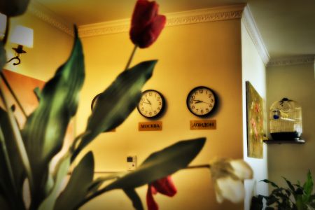 Внешний вид