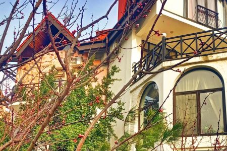 Внешний вид