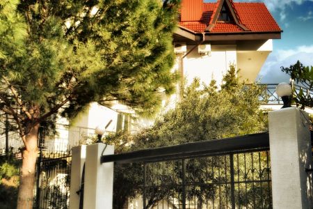 Внешний вид