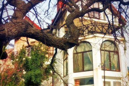 Внешний вид