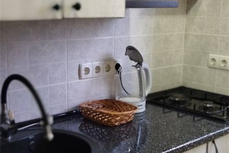 Бунгало Duplex 2-местный 2-комнатный