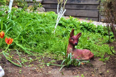 Внешний вид